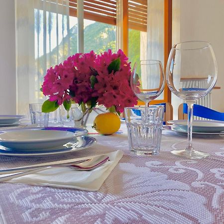 Lake Como Victoria Apartment Oliveto Lario Εξωτερικό φωτογραφία